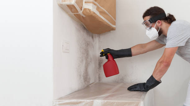 Professional Attic Mold Remediation technician working in Macatawa, MI
